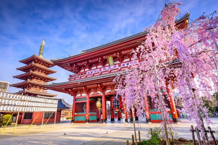 20 cosas que no olvidarán si la luna de miel es en Japón