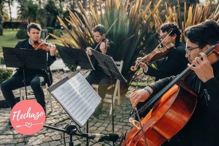 10 bandas de música en vivo para su casamiento (¡aprobadas por nuestras parejas!)