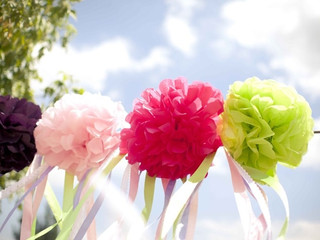 Pompones de seda