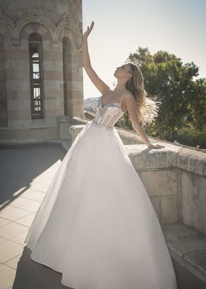 14896N, Pnina Tornai