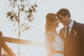 Arreglos Florales by Miriam Borda