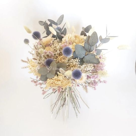 Mar de Flores