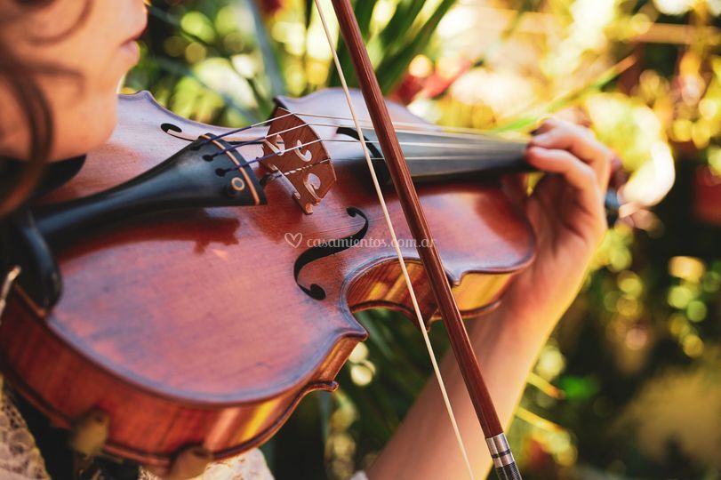 Lumen Strings
