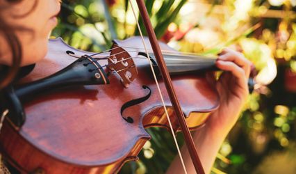 Lumen Strings