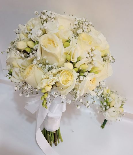 Florece Vip