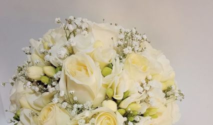 Florece Vip