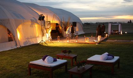 Sonia Heinze Event Planner