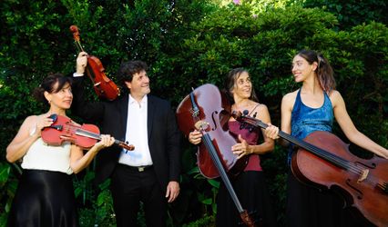 Cuarteto de Cuerdas Magenta