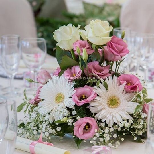Amapolas y Jazmines