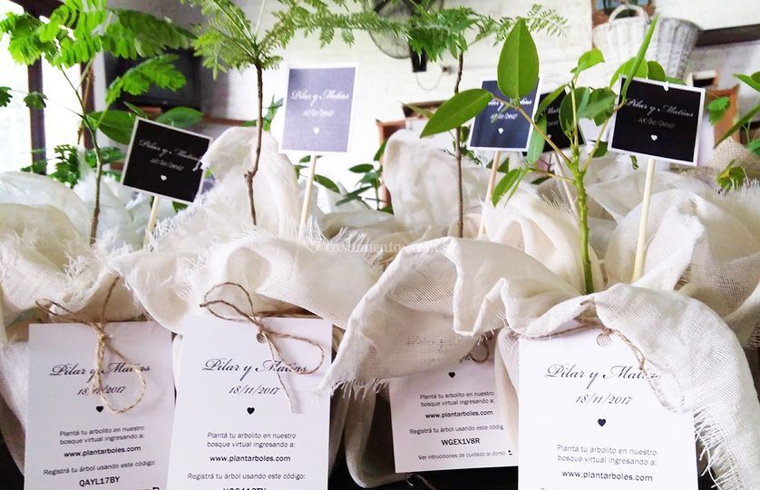 The Growing Gift