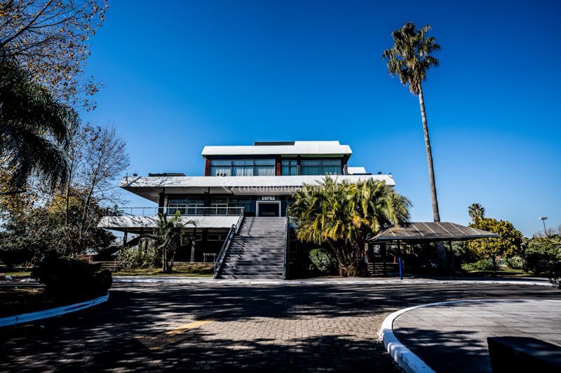 Jano's Olivos