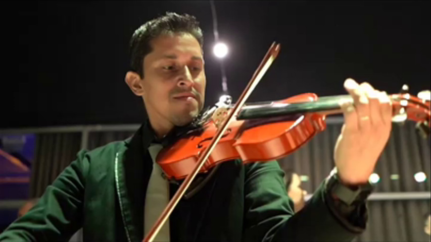 Violinista boda