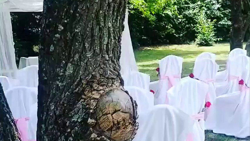 Boda en jardín