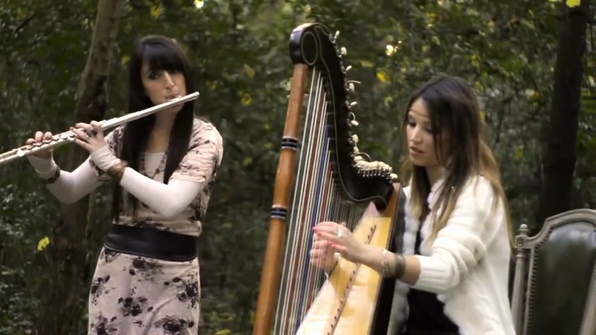 Anima música - Dúo de arpa y flauta traversa Harp and flute