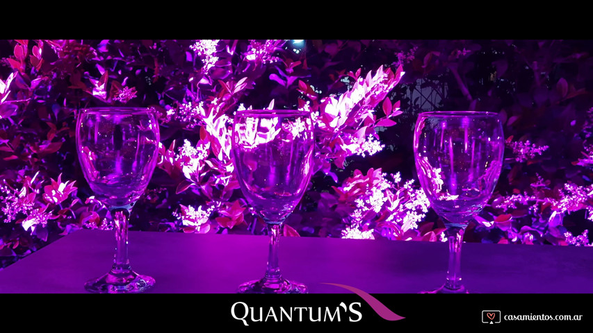 Quantum´s Eventos 