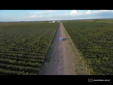 Impala llegando bodega