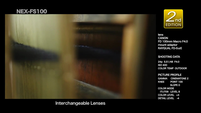 Sony fs100