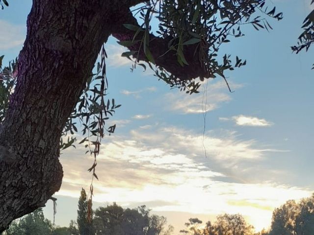 El casamiento de Marcelo y Florencia en Maipu, Mendoza 4