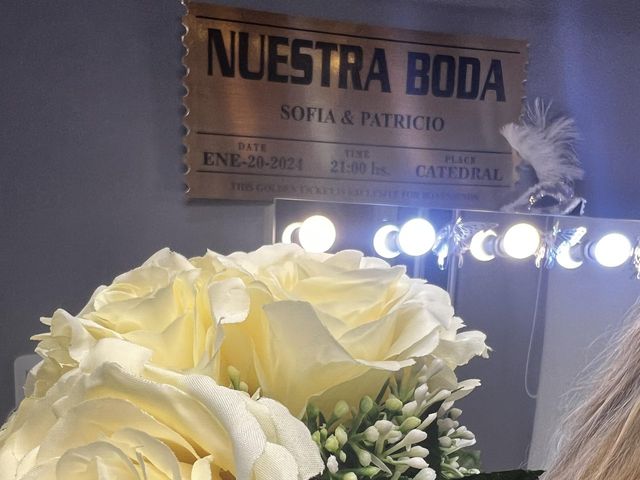 El casamiento de Patricio  y Sofía en La Plata, Buenos Aires 18