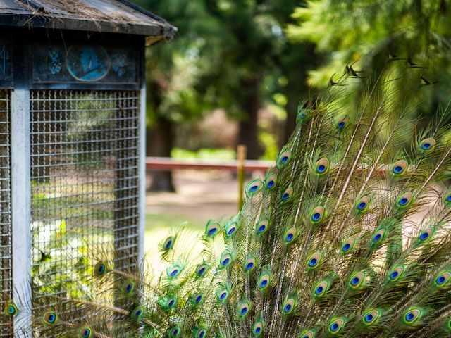 El casamiento de Reynaldo y Flavio en Pilar, Buenos Aires 6