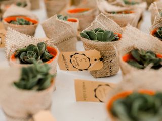 Cactus y suculentas para souvenirs: ideas y consejos para sorprender a sus invitados