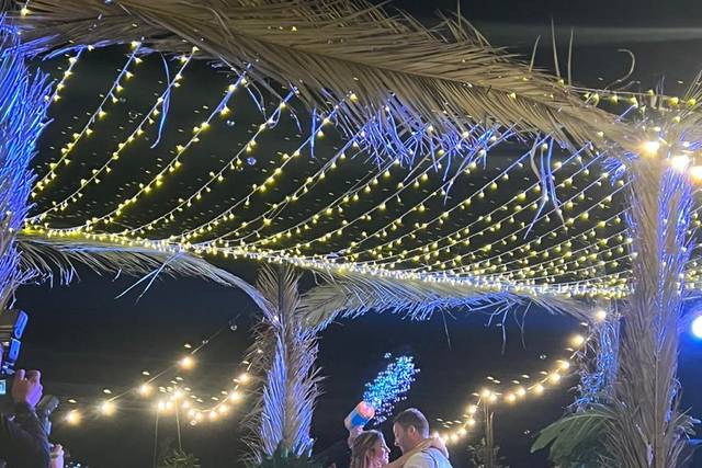 Party Design La Canastita 1