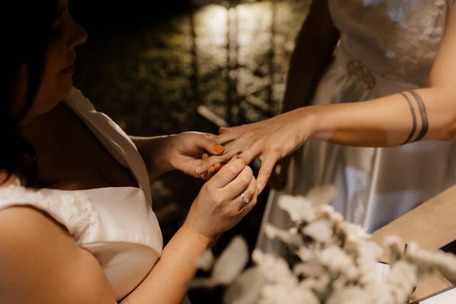 Mariposa Bodas 3