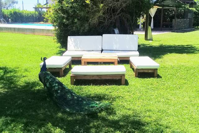 Eco Lounge 4