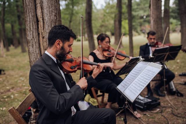 Música Bodas & Eventos 1