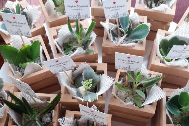 The Growing Gift 1