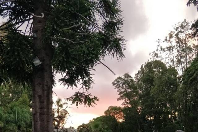 Villa Herminia 5