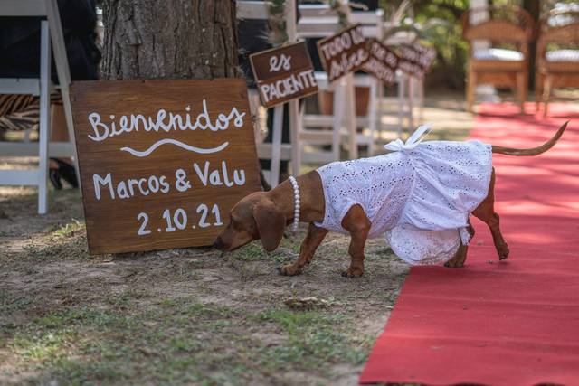 La Escondida Eventos 5