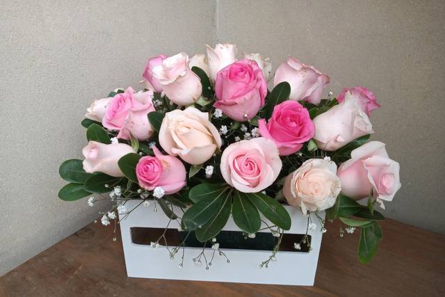 Flores Jess 3