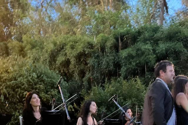 Cuarteto de Cuerdas Quillén 2