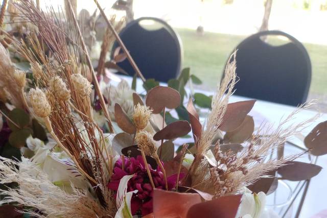 Don Jaime Eventos 4