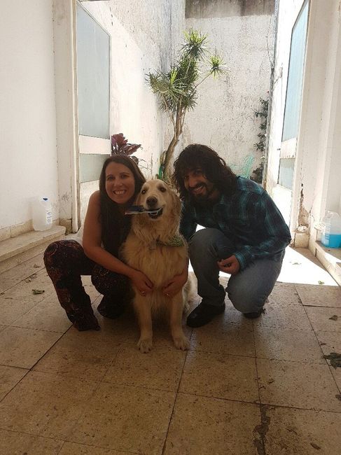 El perro! que hacen las que loconsideran un hijo? - 3