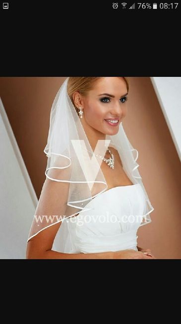 Especial accesorios: Velos - 1