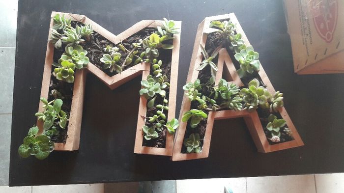 El mejor diy - 1
