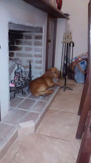Hijos adoptivos - 1
