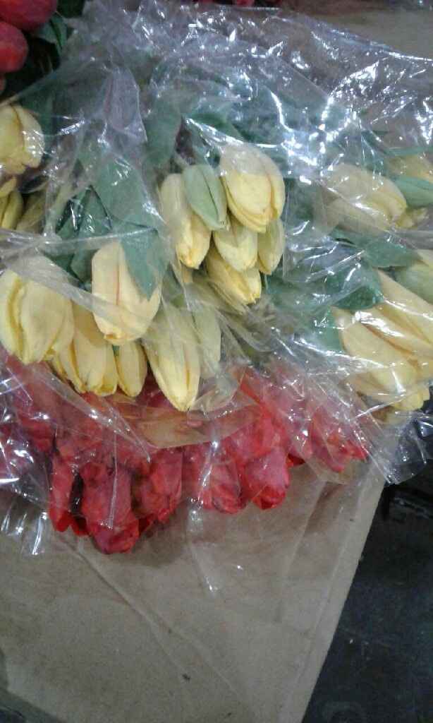  Mercado de Flores -- hoy - 1