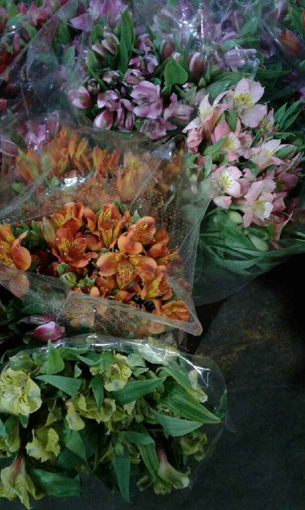  Mercado de Flores -- hoy - 3