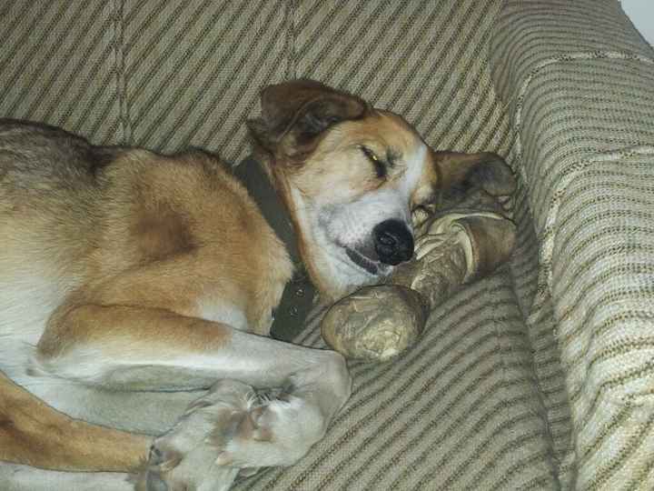 Hijos adoptivos - 2
