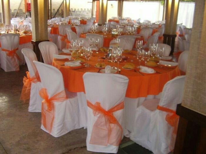 Decoracion sillas de invitados - 50