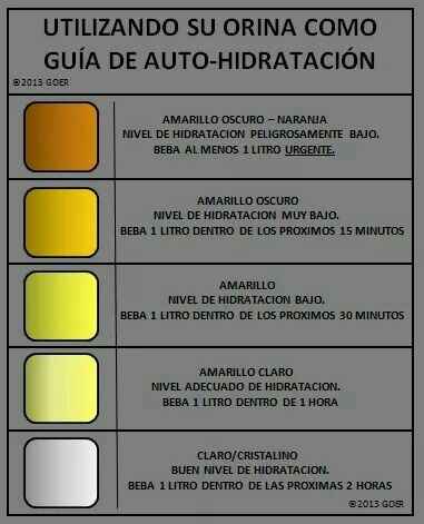 Jugos beneficiosos y deliciosos... - 17