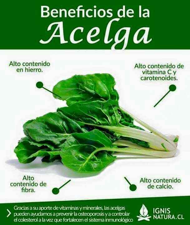 Beneficios de comer..... - 3