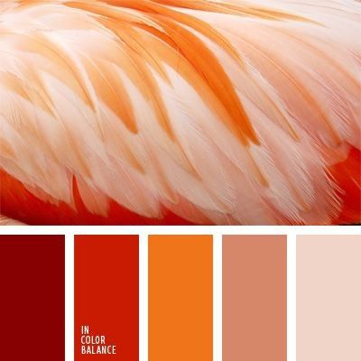 4 Elementos, 4 Estilos - Los Colores 🔥 💦🌍🌬️ 3