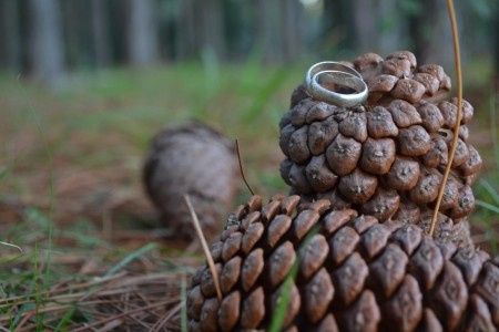 anillos