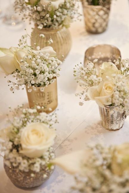 🌷 Flores de primavera: ¿Cuál es la tuya?🤗 5