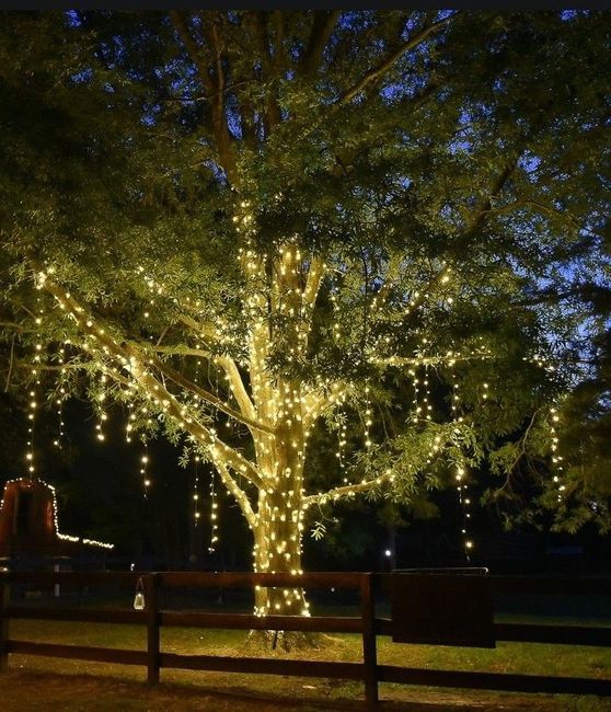 Ambientación con Iluminación para eventos 8