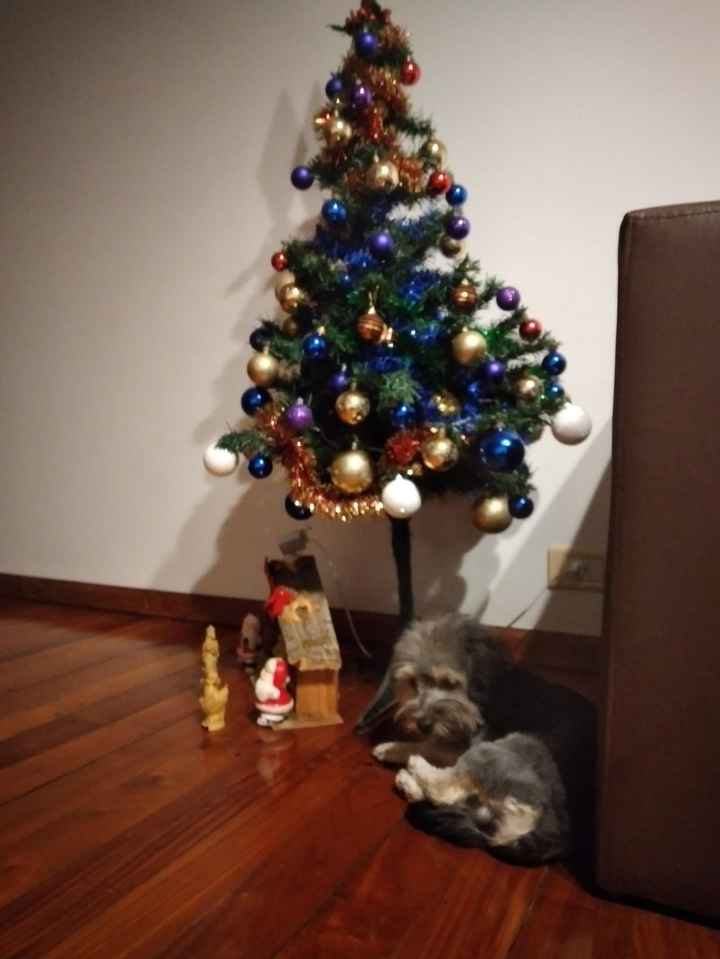 ¿Cómo es o se imaginan su nidito decorado para navidad? 2